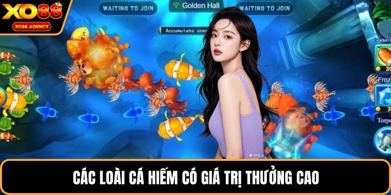 Các loài cá hiếm có giá trị thưởng cao