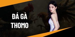 đá gà thomo