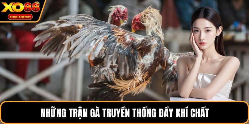 Những trận gà truyền thống đầy khí chất