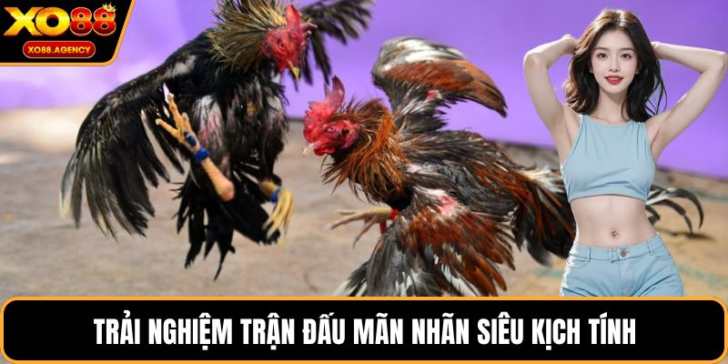 Trải nghiệm trận đấu mãn nhãn siêu kịch tính